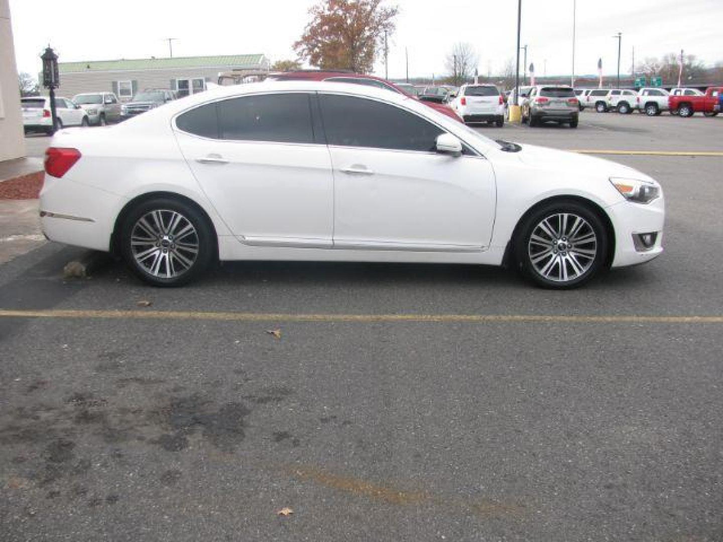 2014 WHITE Kia Cadenza Sedan (KNALN4D7XE5) with an 3.3L V6 DOHC 24V engine, 6-Speed Automatic transmission, located at 2443 Albert Pike, Hot Springs, AR, 71913, (501) 623-6255, 34.492222, -93.109993 - Photo#4