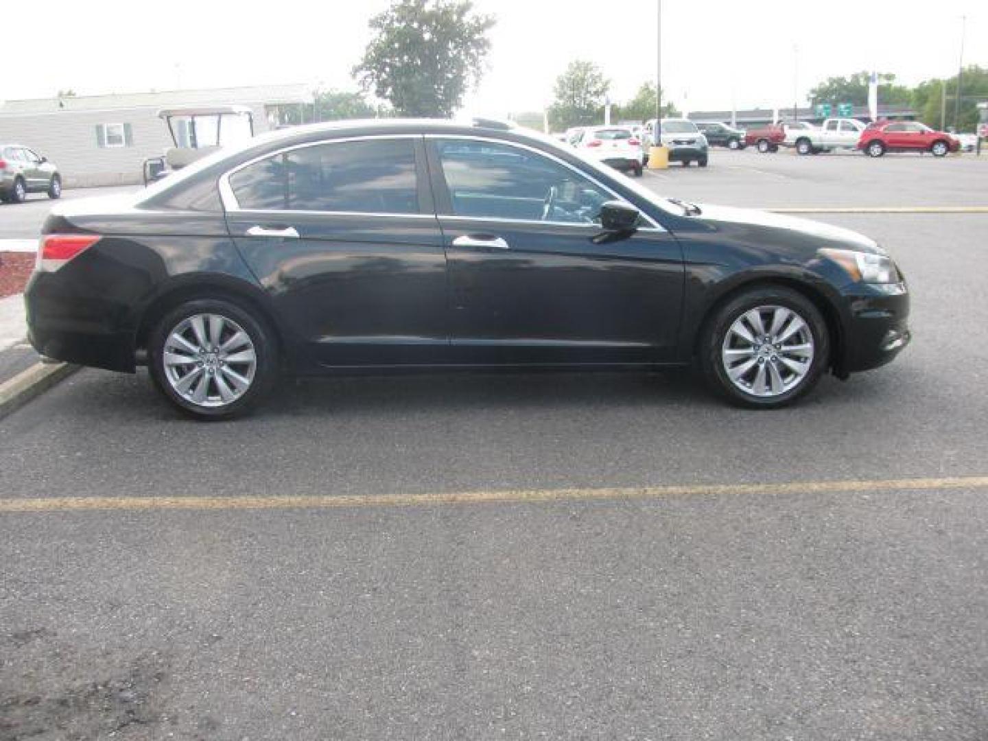 2012 Black Honda Accord EX-L V6 Sedan AT (1HGCP3F80CA) with an 3.5L V6 SOHC 24V engine, 5-Speed Automatic transmission, located at 2443 Albert Pike, Hot Springs, AR, 71913, (501) 623-6255, 34.492222, -93.109993 - Photo#4