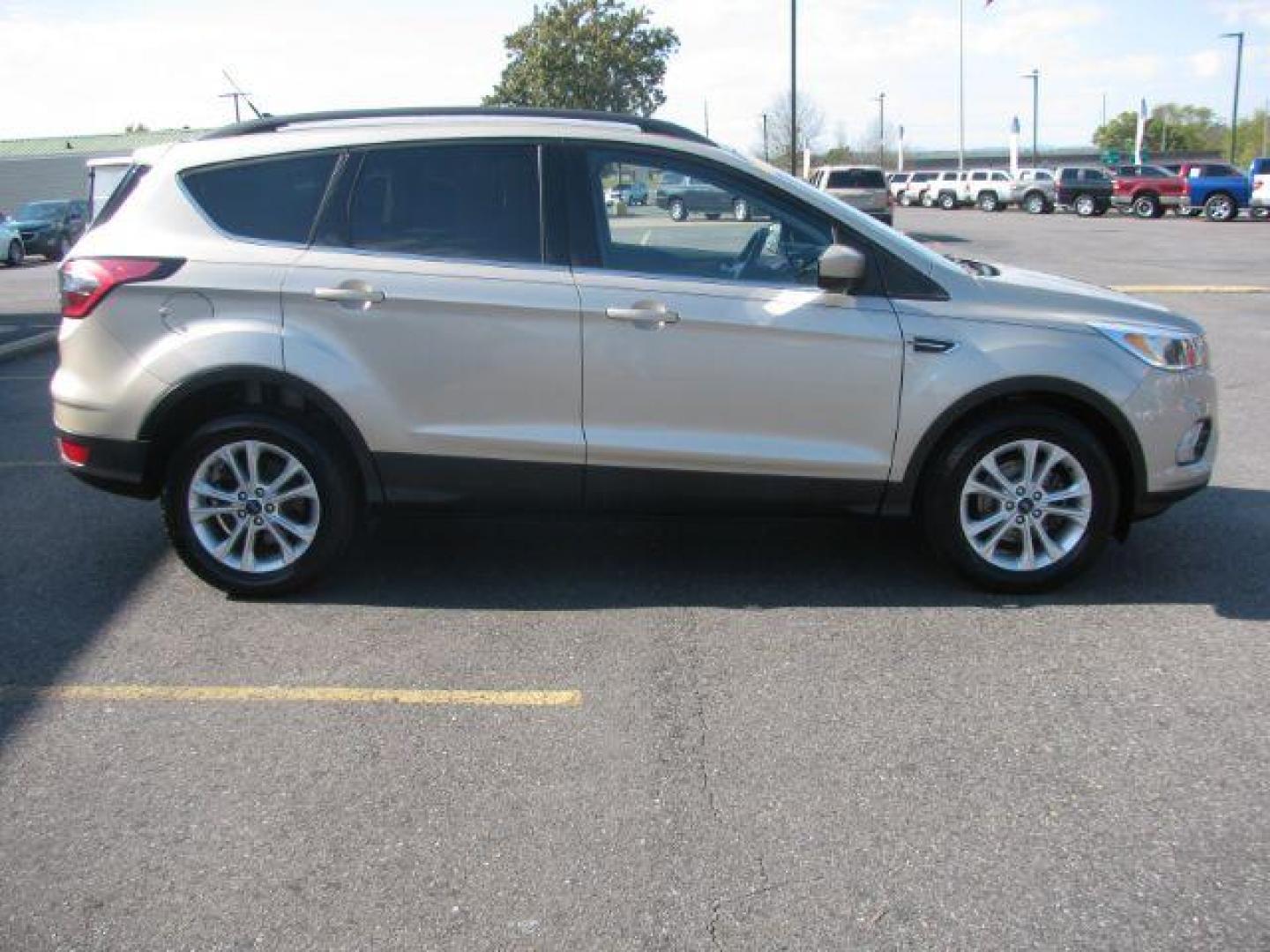 2018 Tan Ford Escape SE FWD (1FMCU0GD2JU) with an 1.5L L4 DOHC 16V engine, 6-Speed Automatic transmission, located at 2443 Albert Pike, Hot Springs, AR, 71913, (501) 623-6255, 34.492222, -93.109993 - Photo#4