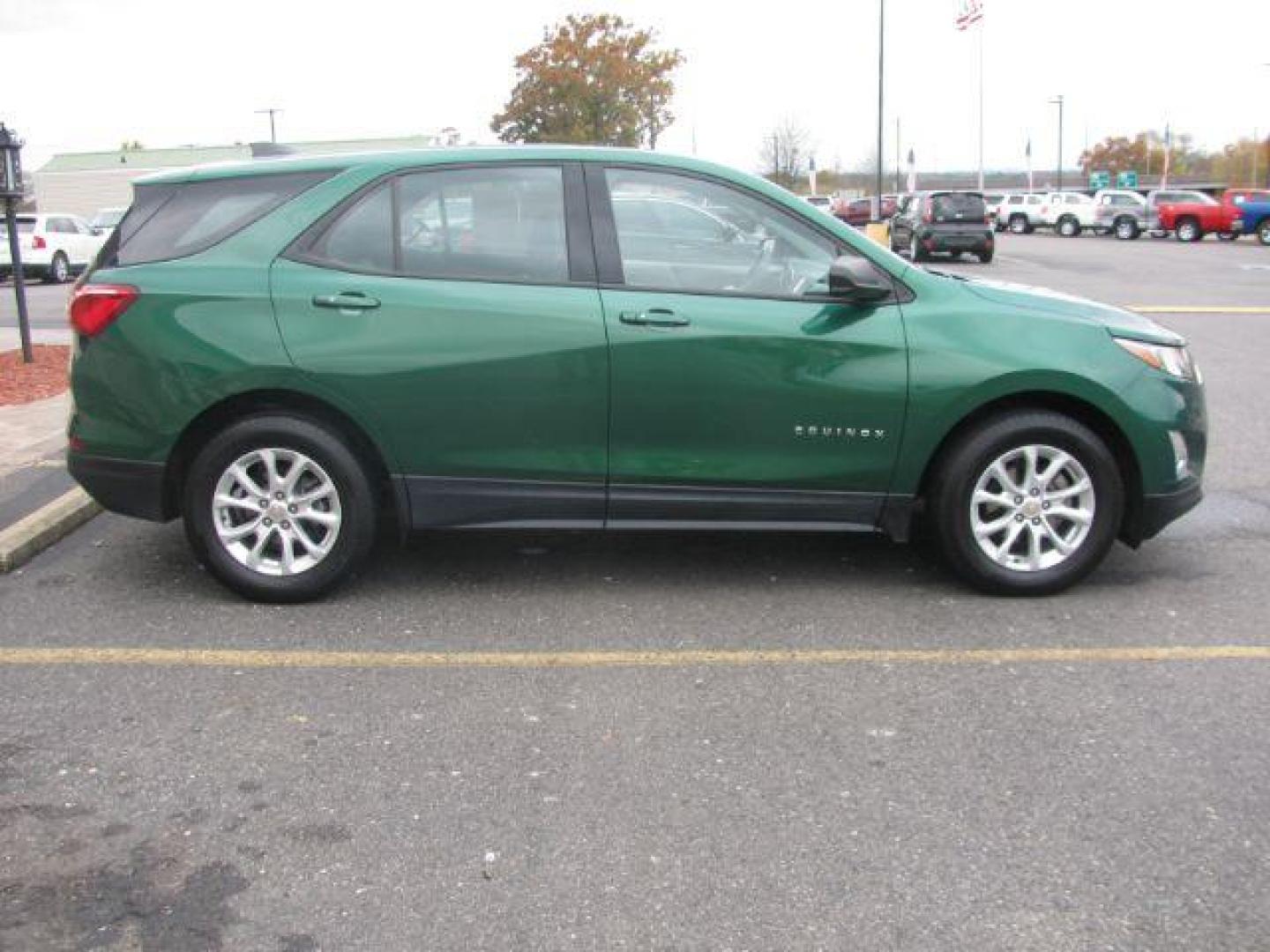 2019 Green Chevrolet Equinox LS 2WD (2GNAXHEV8K6) with an 1.5L L4 DIR DOHC 16V TURBO engine, 6-Speed Automatic transmission, located at 2443 Albert Pike, Hot Springs, AR, 71913, (501) 623-6255, 34.492222, -93.109993 - Photo#4