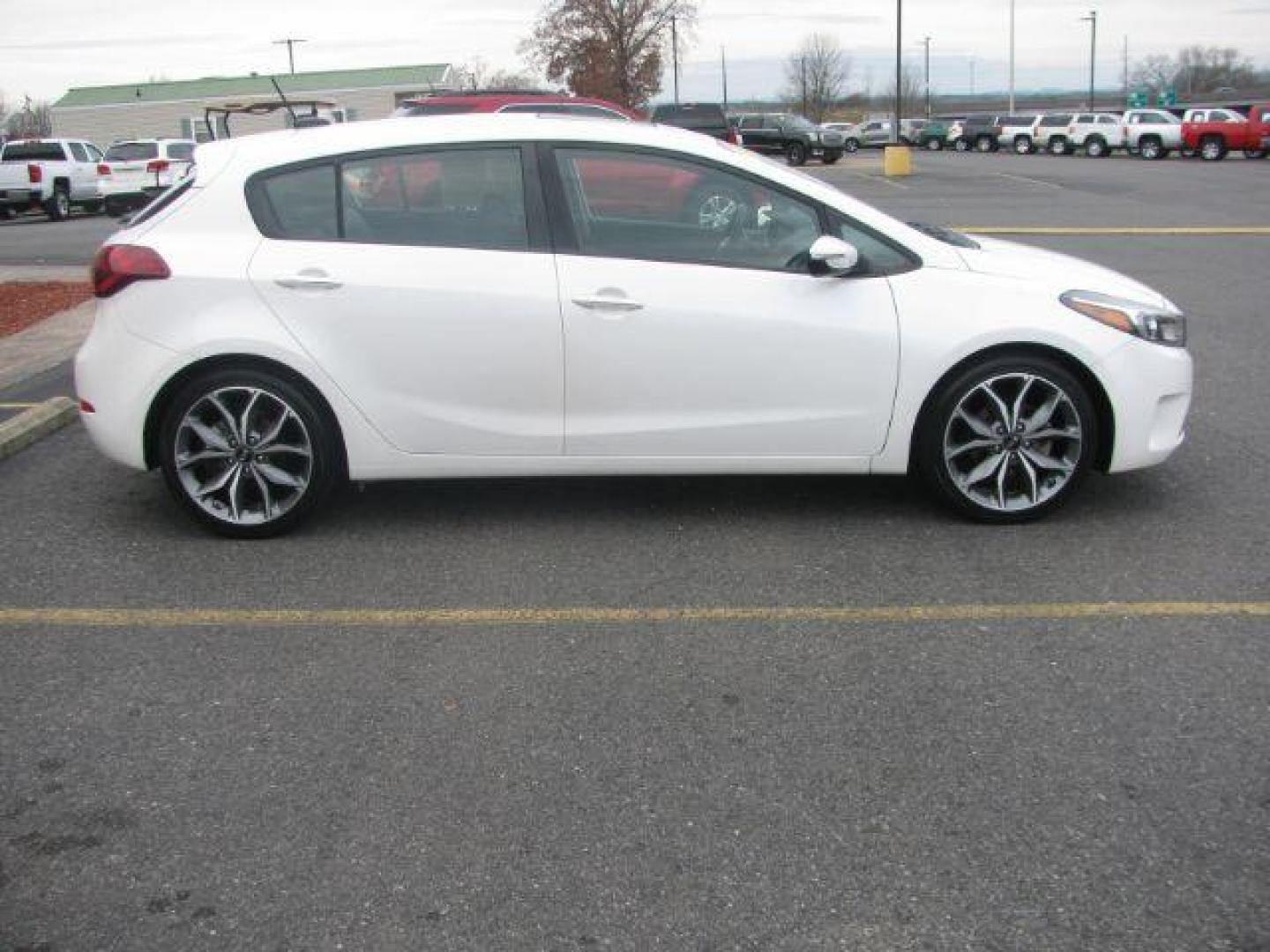 2017 White Kia Forte 5-Door EX (KNAFX5A81H5) with an 2.0L L4 DOHC 16V engine, 6-Speed Automatic transmission, located at 2443 Albert Pike, Hot Springs, AR, 71913, (501) 623-6255, 34.492222, -93.109993 - Photo#4