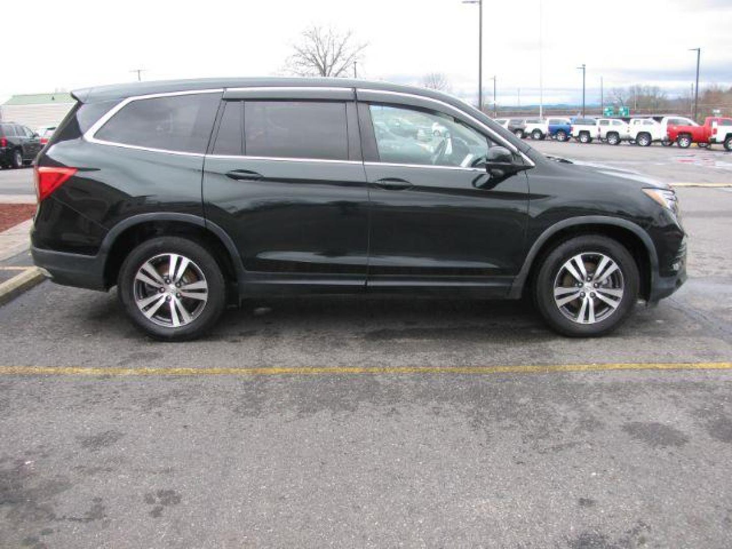 2016 Green Honda Pilot EXL 2WD (5FNYF5H59GB) with an 3.5L V6 SOHC 24V engine, 6-Speed Automatic transmission, located at 2443 Albert Pike, Hot Springs, AR, 71913, (501) 623-6255, 34.492222, -93.109993 - LISTED FEATURES MAY BE OPTIONAL AND NOT INCLUDED ON THIS VEHICLE!!! - Photo#4