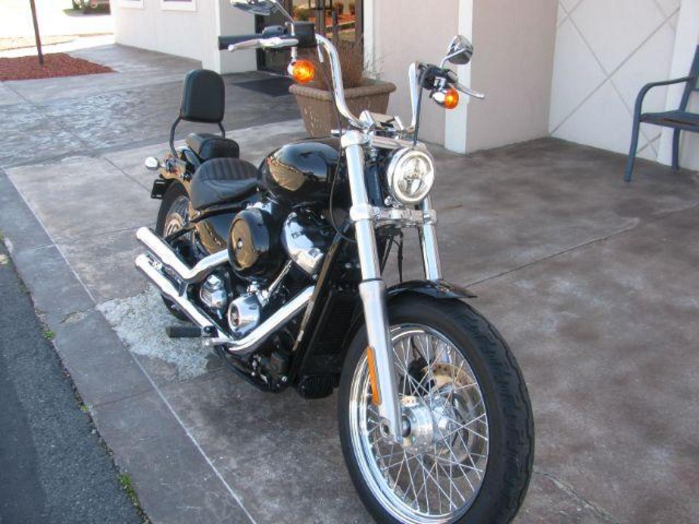 2020 Black Harley-Davidson FXST Softail Standard sport (1HD1BVJ13LB) with an 1746cc engine, Manual transmission, located at 2443 Albert Pike, Hot Springs, AR, 71913, (501) 623-6255, 34.492222, -93.109993 - Photo#1