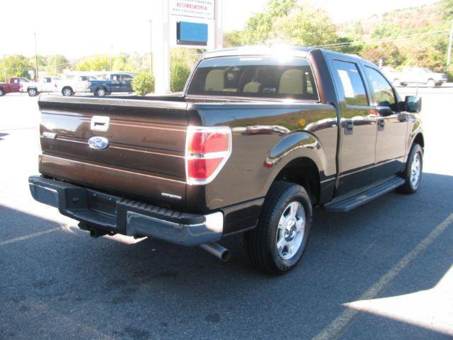 2014 Brown Ford F-150 XLT SuperCrew 5.5-ft. Bed 2WD (1FTFW1CF4EK) with an 5.0L V8 engine, 6-Speed Automatic transmission, located at 2443 Albert Pike, Hot Springs, AR, 71913, (501) 623-6255, 34.492222, -93.109993 - Photo#3