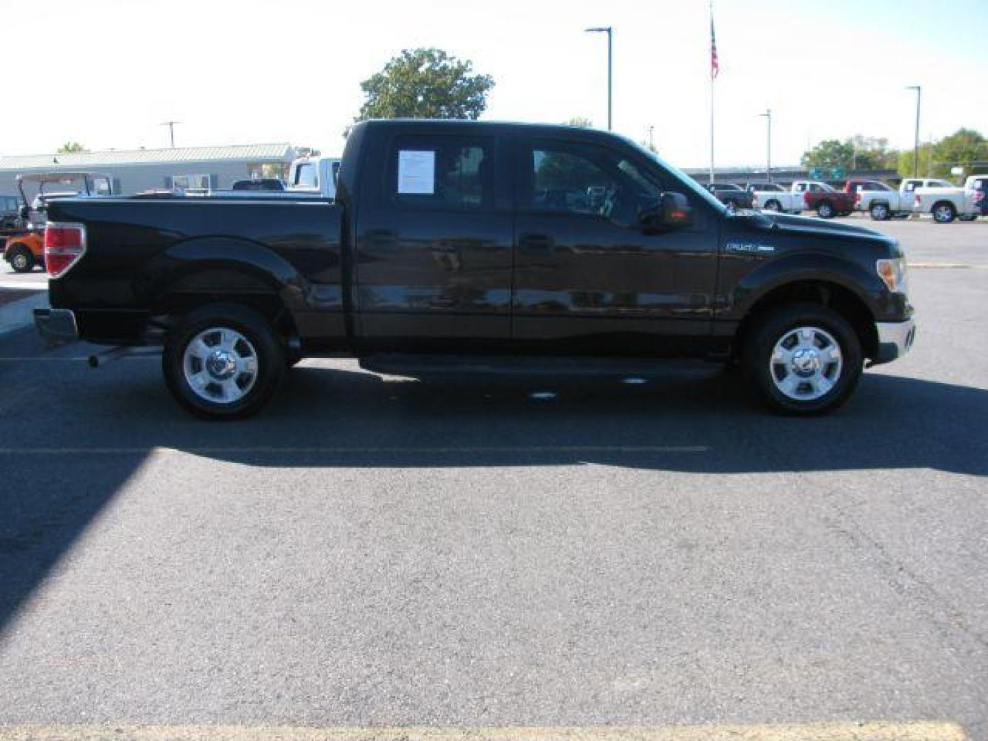 2014 Brown Ford F-150 XLT SuperCrew 5.5-ft. Bed 2WD (1FTFW1CF4EK) with an 5.0L V8 engine, 6-Speed Automatic transmission, located at 2443 Albert Pike, Hot Springs, AR, 71913, (501) 623-6255, 34.492222, -93.109993 - Photo#4