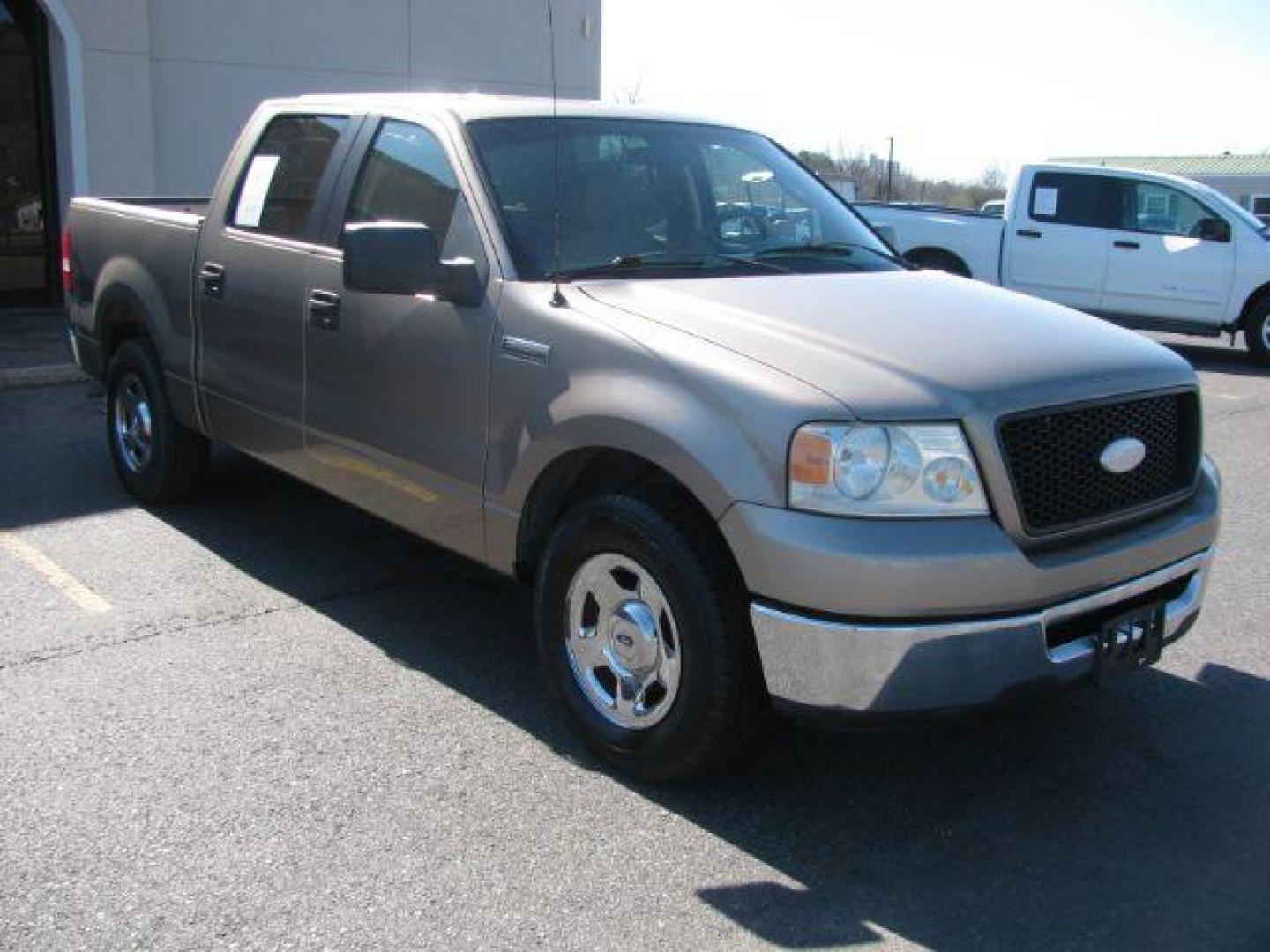 2006 Tan Ford F-150 XLT SuperCrew 2WD (1FTRW12W86K) with an 4.6L V8 SOHC 16V engine, 4-Speed Automatic transmission, located at 2443 Albert Pike, Hot Springs, AR, 71913, (501) 623-6255, 34.492222, -93.109993 - Photo#6